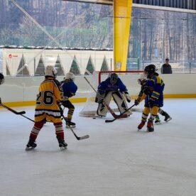 IMG-20250322-WA0043