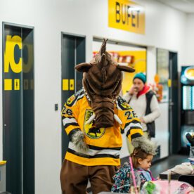 foto-10_55057091957_l