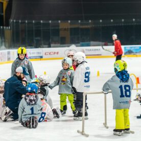 foto-110_55058351100_l