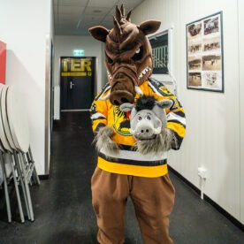 foto-23_55057995406_l