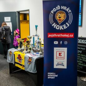 foto-2_55057995126_l