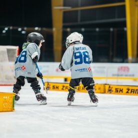 foto-55_55058177218_l