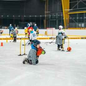 foto-89_55057996691_l